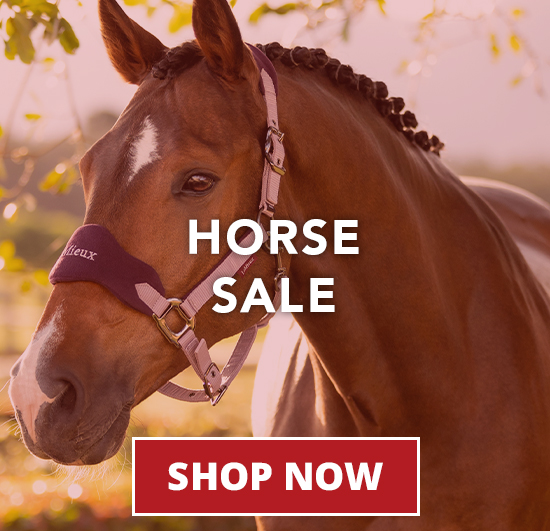 Summer Sale: Horse > SHOP ALL