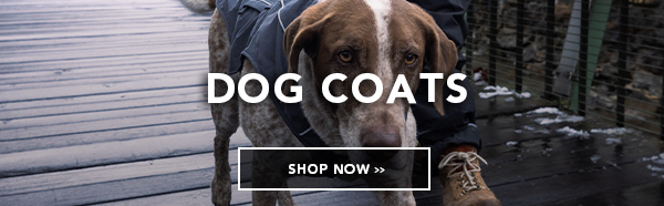 Dog Coats > SHOP NOW