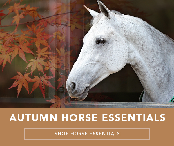 naylors Stock Up On Your Autumn Horse Essentials Milled